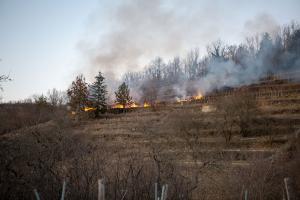 Flurbrand in schwer zugänglichen Gelände in Rehberg