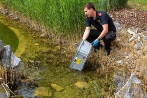 Entenkücken von der Feuerwehr gerettet