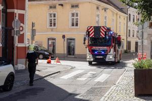 Taube mittels Drehleiter gerettet