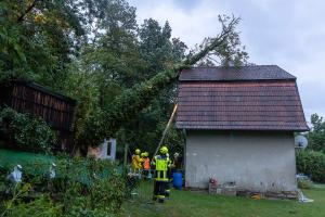 Baum stürzt auf Haus – Feuerwehrkran im Einsatz