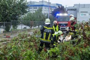 Umgestürzte Bäume verhindern ein durchkommen auf der Altweidlingerstraße