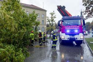 Zwei umgestürzte Bäume - Ein Baum auf einem Auto ein weiterer auf einem Gebäude