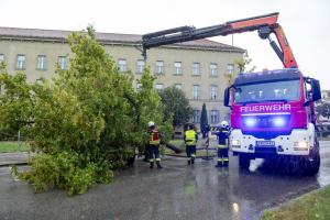 Zwei umgestürzte Bäume - Ein Baum auf einem Auto ein weiterer auf einem Gebäude