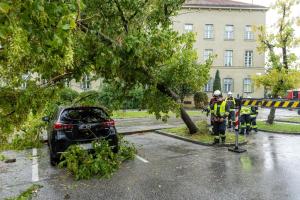 Zwei umgestürzte Bäume - Ein Baum auf einem Auto ein weiterer auf einem Gebäude