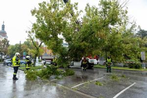 Zwei umgestürzte Bäume - Ein Baum auf einem Auto ein weiterer auf einem Gebäude